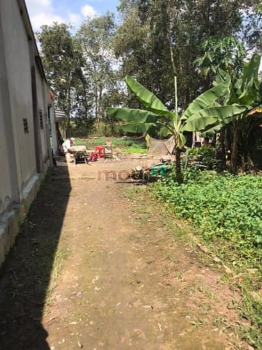 Hình ảnh 🎯🇻🇳Đất Thổ Cư Xã Trung An DT 235m2 Khu Dân Cư