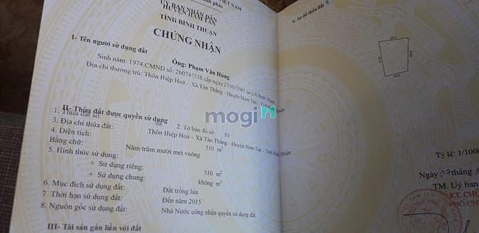 Hình ảnh 7 hecta 6. Tân thắng Bình thuận giá 3 tỷ 2/ ha.