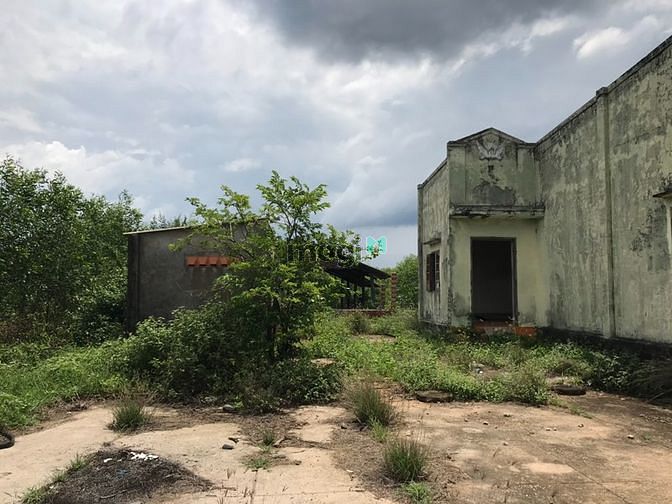 Hình ảnh 7 hecta 6. Tân thắng Bình thuận giá 3 tỷ 2/ ha.