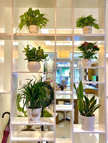 Hình ảnh Bán Trang Chủ MB66.COM / Đăng Ký Tặng 66K Riverside Residence PMH nhà mới 100% CAM KẾT GIÁ THẬT