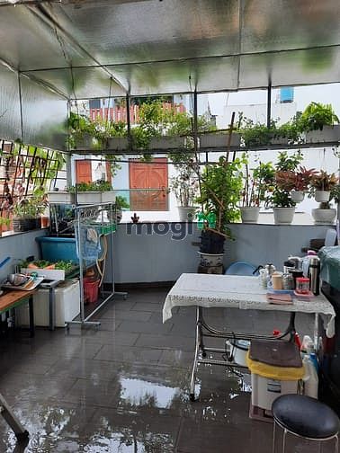 Hình ảnh Gần Chợ Cây Thị - HXH ~ 360m2 (4.8 x 18.5m) Phan Văn Trị