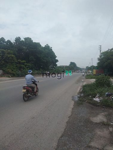 Hình ảnh Nhượng 600m2 đất thổ cư phú cát - quốc oai.