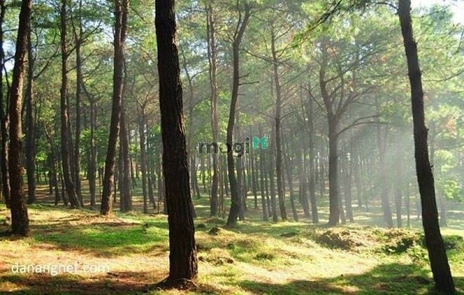 Hình ảnh Quy hoạch khu dân cư mới Điện Tiến - ECO RETREAT