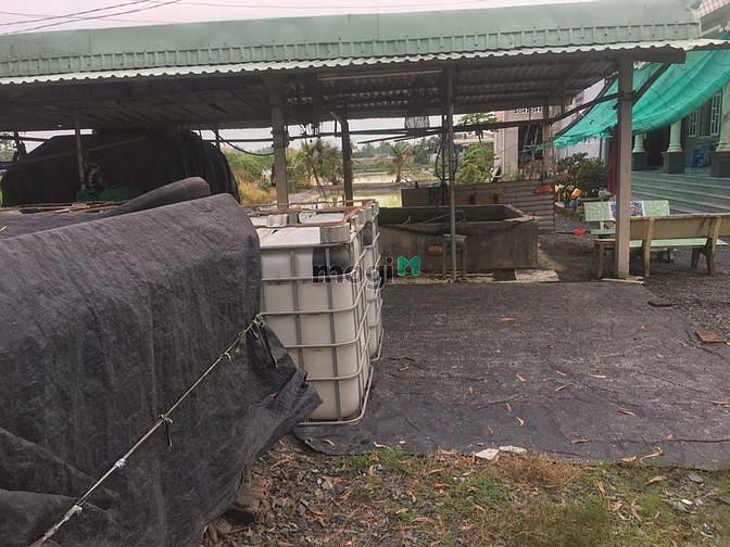Hình ảnh Bán đất mặt tiền Thành Phố Tân An 1000m2