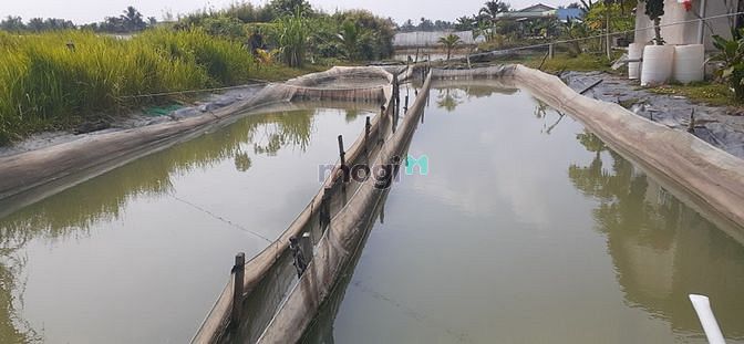 Hình ảnh Bán đất mặt tiền Thành Phố Tân An 1000m2