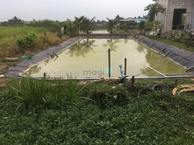 Hình ảnh Bán đất mặt tiền Thành Phố Tân An 1000m2