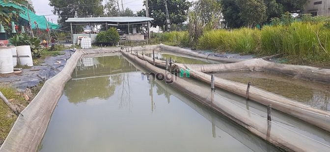 Hình ảnh Bán đất mặt tiền Thành Phố Tân An 1000m2