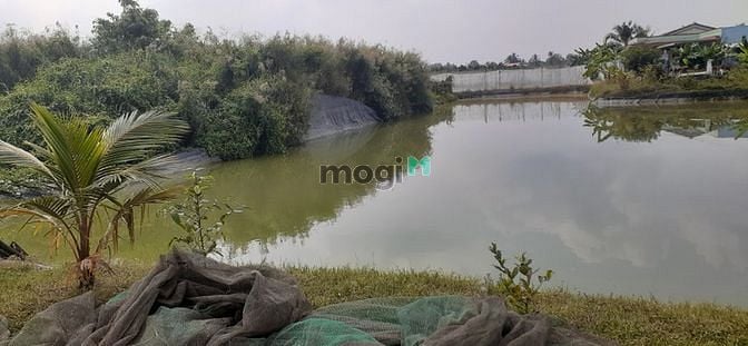 Hình ảnh Bán đất mặt tiền Thành Phố Tân An 1000m2