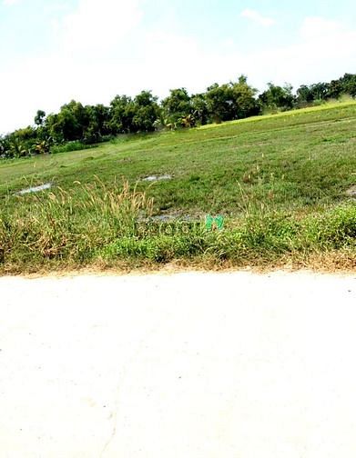 Hình ảnh 1500M Bán Đất MT 200 TC, 1.6 Tỷ, Tân Hà, Hàm Tân, Bình Thuận