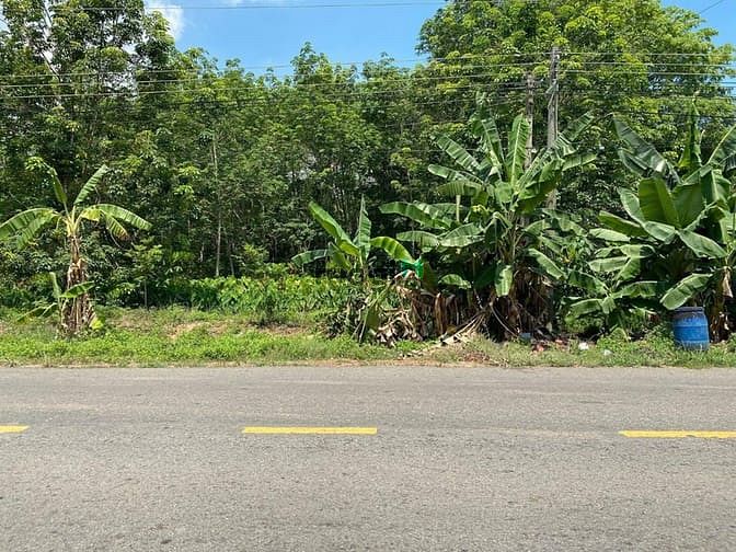 Hình ảnh Bán gấp, 2154m2 đất mt dt744 Định An - Dầu Tiếng – Bình Dương.