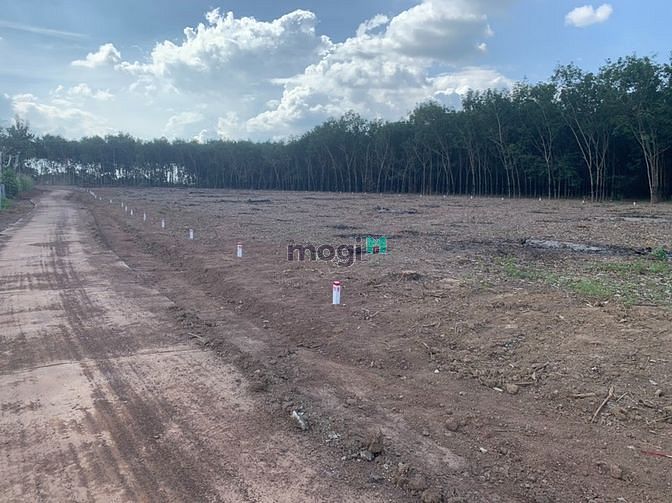 Hình ảnh Bán đất Bình Phước 280m2 có 100m2 đất ở đã có sổ riêng