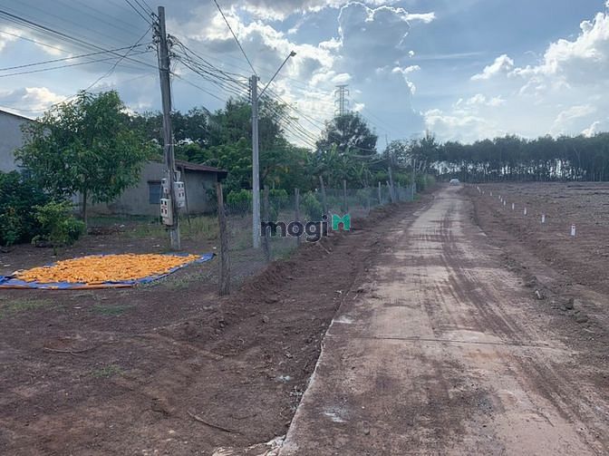Hình ảnh Bán đất Bình Phước 280m2 có 100m2 đất ở đã có sổ riêng