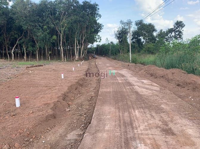 Hình ảnh Bán đất Bình Phước 280m2 có 100m2 đất ở đã có sổ riêng