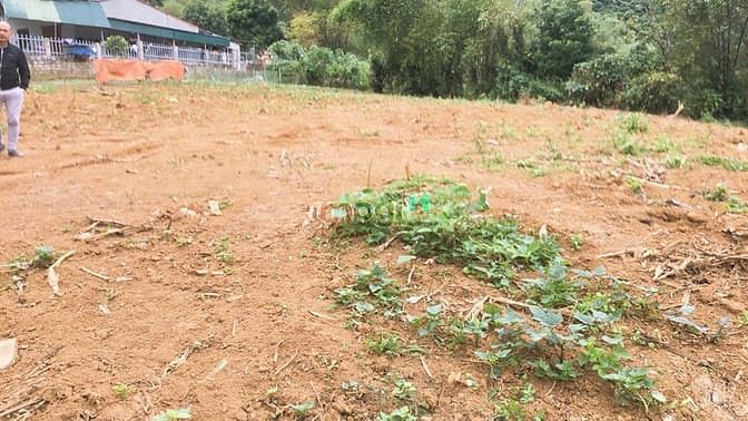 Hình ảnh Bán gấp đất Lương Sơn ,Hòa Bình 2884m2, giá 2.6 tỷ