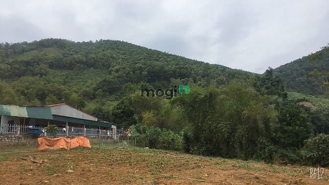 Hình ảnh Bán gấp đất Lương Sơn ,Hòa Bình 2884m2, giá 2.6 tỷ
