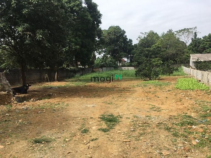 Hình ảnh Cơ hội sở hữu ngay 1628m2 đất thổ cư đẹp nhất Lương Sơn, Hòa Bình
