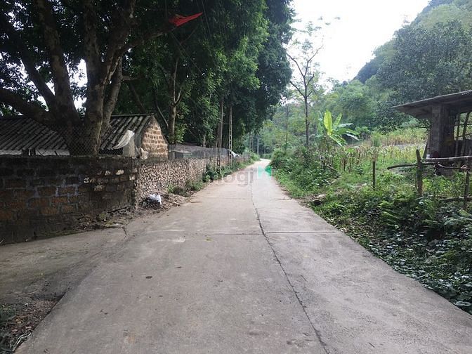 Hình ảnh Cơ hội sở hữu ngay 1628m2 đất thổ cư đẹp nhất Lương Sơn, Hòa Bình