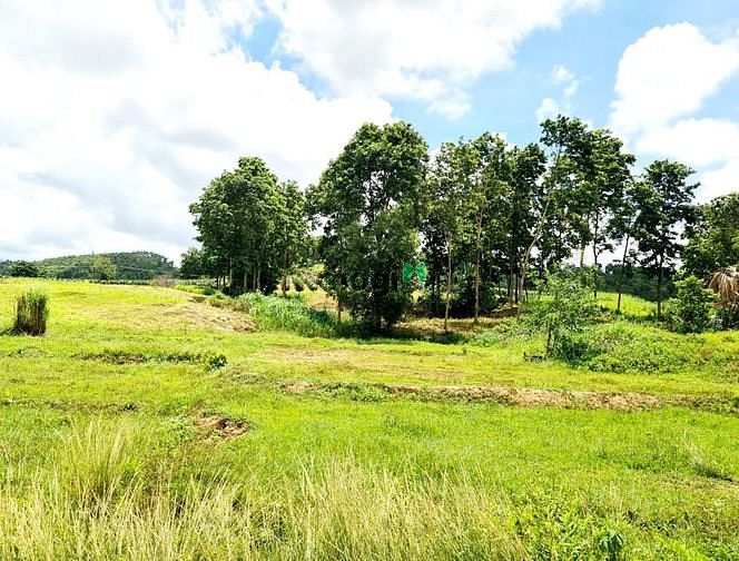 Hình ảnh 1350M Bán Đất MT 200 TC, 1.8 TỶ, Tân Nghĩa, Hàm Tân, Bình Thuận