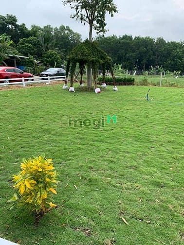 Hình ảnh Cần bán gấp lô đất vườn MTD TL7 Củ Chi