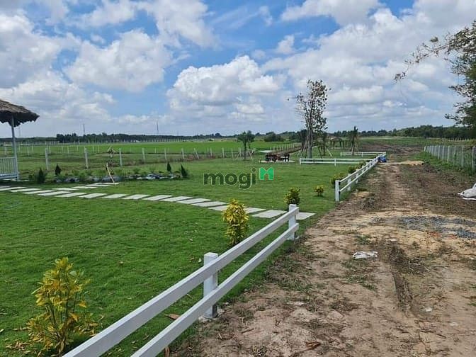 Hình ảnh Cần bán gấp lô đất vườn MTD TL7 Củ Chi