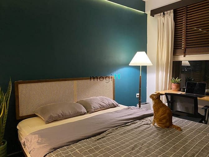Hình ảnh Cho Thuê 2pn Nhà Bè Giá Rẻ Nhà Đẹp