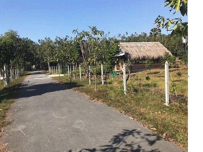 Hình ảnh CẦN BÁN ĐẤT MT Nguyễn Thị Cần 1/  Nguyễn Thị Rành