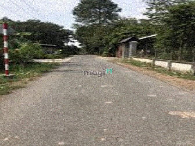 Hình ảnh CẦN BÁN ĐẤT MT Nguyễn Thị Cần 1/  Nguyễn Thị Rành