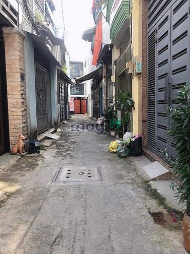 Hình ảnh Trần Văn Quang -Tân Bình diên tích lớn gia chỉ 4txx