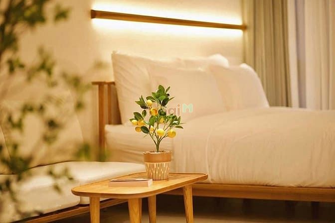 Hình ảnh Tropical Island | Căn Hộ Premium Studio, Pool, Ốc Đảo Giữa Lòng Saigon
