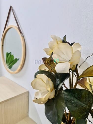 Hình ảnh CHDV Q3, DUPLEX, Full nội thất, Siêu giảm giá, rộng thoáng