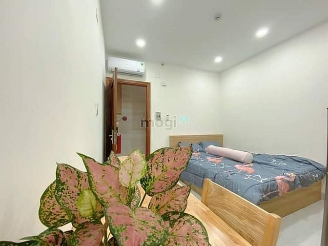 Hình ảnh Căn Hộ Bình Giã Full Nội thất gần chợ Hoàng Hoa Thám