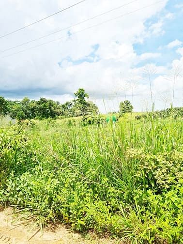 Hình ảnh 1000m- ĐẤT THỔ CƯ, Đường MT 1 tỷ 7, Tân Hà, Hàm Tân, Bình Thuận