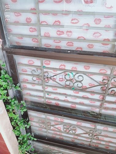 Hình ảnh Phòng cho thuê quận 3 trần quang diệu 17m2