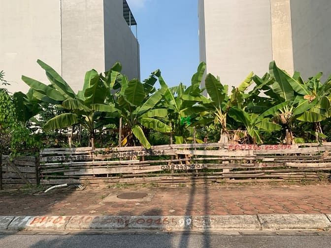 Hình ảnh Bán đất view hồ Đầm Tranh Cự Khối, siêu mát mẻ định cư quá tuyệt