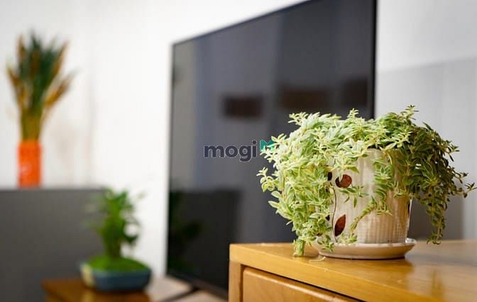 Hình ảnh 🏡🏡 CHDV 40m2, full nt, có bancol riêng ngay trung tâm q1🏡🏡
