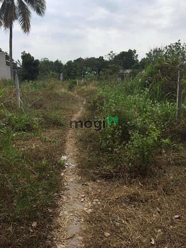 Hình ảnh Cần bán lô đất full thổ cư đường 490 Phạm văn Cội