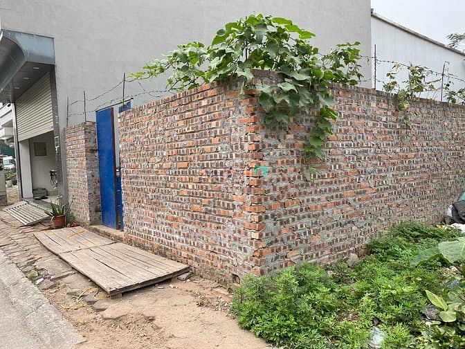 Hình ảnh Bán đất đấu giá A1 Cự Khối, 65,2m view sân nhà văn hóa giá 78tr/m
