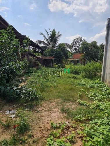 Hình ảnh Đất 443m² mặt tiền đường 8m giá 3 tỷ 90tr cã trung lập thượng củ Chi
