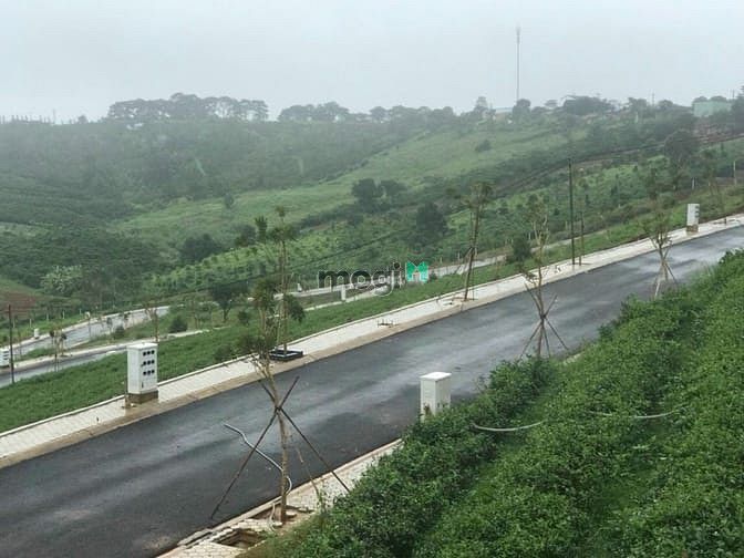 Hình ảnh Cần ra hàng một cặp đất nền bảo lộc tổng 192m2