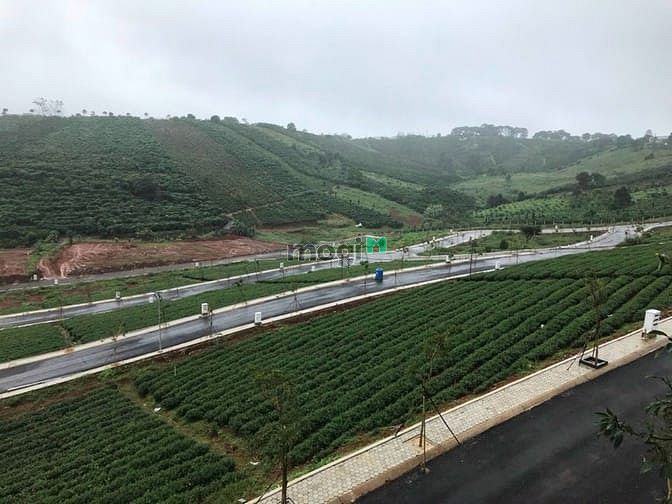 Hình ảnh Cần ra hàng một cặp đất nền bảo lộc tổng 192m2