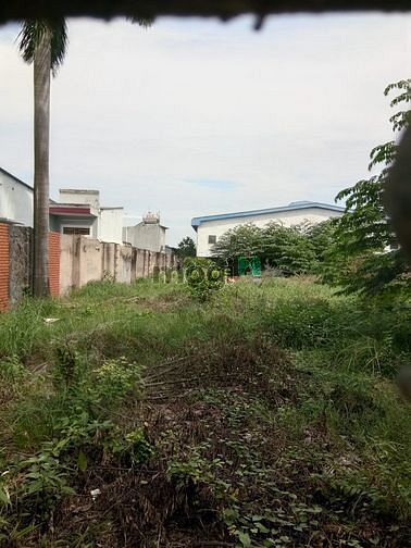 Hình ảnh Bán đất hẻm tân chánh Hiệp 10,  quận 12