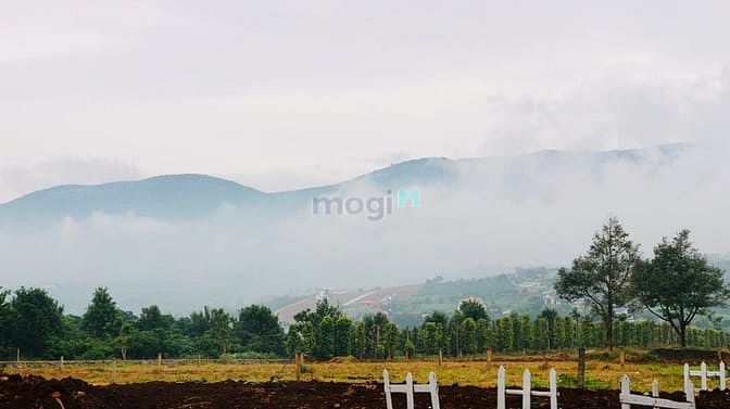 Hình ảnh Mở Bán Đất Full Thổ Cư Đà Lạt - Eden Hill