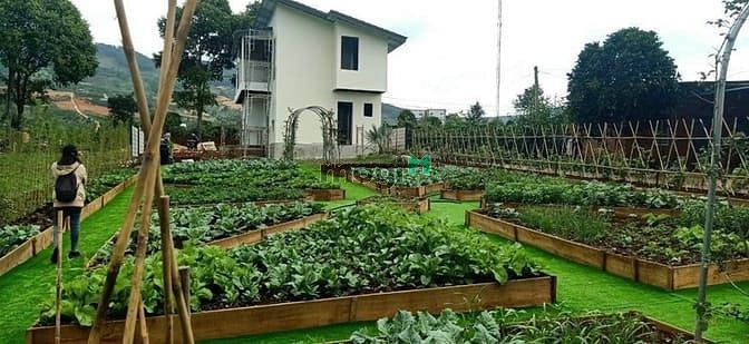 Hình ảnh Mở Bán Đất Full Thổ Cư Đà Lạt - Eden Hill