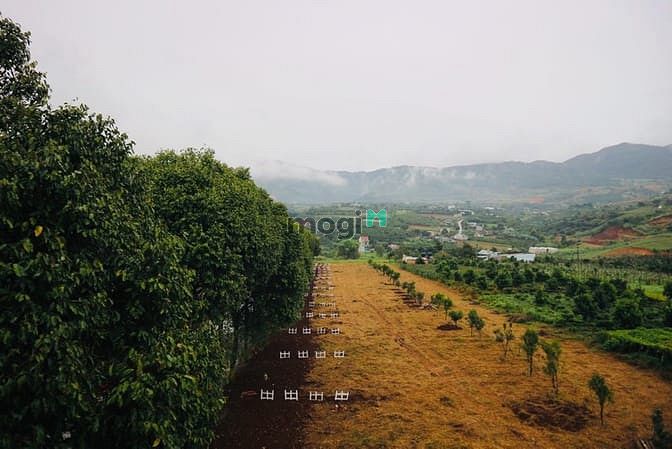 Hình ảnh Mở Bán Đất Full Thổ Cư Đà Lạt - Eden Hill