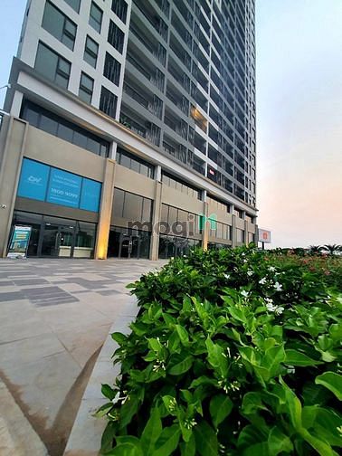 Hình ảnh Chính chủ cho thuê căn officetel 38m2 giá 6,5 triệu/tháng, tặng phí QL