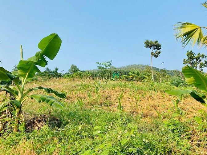Hình ảnh Cực phẩm lô 3 mặt tiền , đồng vỡ, phú mãn