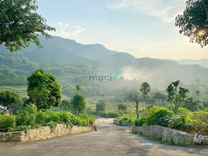 Hình ảnh Cực phẩm lô 3 mặt tiền , đồng vỡ, phú mãn