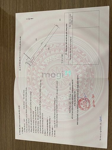Hình ảnh Đất Bình Phước Trang MB66.COM Chính Thức - MB 66 Uy Tín lâu dài, vốn nhỏ đất lớn