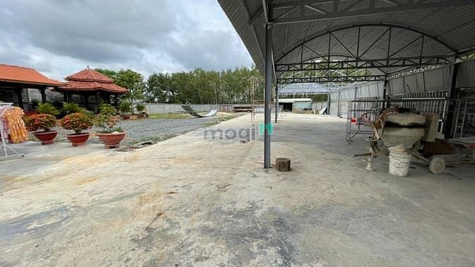 Hình ảnh Giá sốc, chỉ có 1 miếng duy nhất dành cho nhà siêu Trang MB66.COM Chính Thức - MB 66 Uy Tín