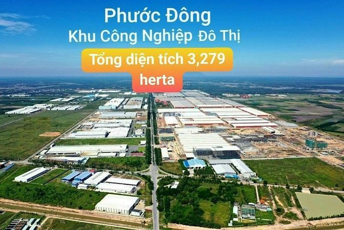 Hình ảnh Giá sốc, chỉ có 1 miếng duy nhất dành cho nhà siêu Trang MB66.COM Chính Thức - MB 66 Uy Tín